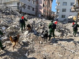 Việt Nam hỗ trợ khẩn cấp Thổ Nhĩ Kỳ, Syria khắc phục hậu quả động đất