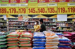 Giá gạo Việt Nam diễn biến trái chiều với giá gạo Ấn Độ, Thái Lan