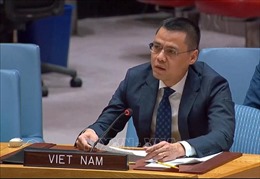Việt Nam kêu gọi chấm dứt xung đột, tìm giải pháp hòa bình cho vấn đề Ukraine