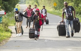 Canada &#39;quá tải&#39; với làn sóng người tị nạn mới