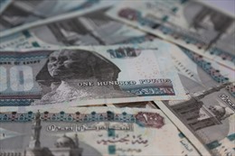Ai Cập phát hành thành công trái phiếu Hồi giáo sukuk lần đầu tiên