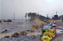 Bạc Liêu: Công bố tình huống khẩn cấp sự cố sạt lở đê biển Đông