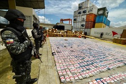 Ecuador thu giữ khoảng 8,8 tấn ma túy được chuyển tới Bỉ 