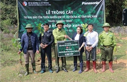 Trồng 6.000 cây giổi xanh tại Khu Bảo tồn thiên nhiên Kim Hỷ