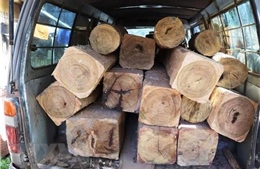 Phát hiện hàng chục phách gỗ không rõ nguồn gốc ở huyện A Lưới