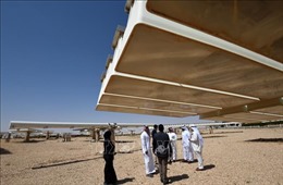 UAE và Saudi Arabia dẫn đầu Trung Đông về năng lượng tái tạo