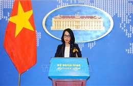  Việt Nam đề nghị Hàn Quốc tôn trọng sự thật lịch sử