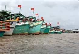 Kiểm soát chặt chẽ tàu cá hoạt động khai thác thủy sản