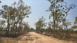 Gia Lai: Yêu cầu kiểm tra, chấn chỉnh vụ tự ý làm đường trong rừng sản xuất