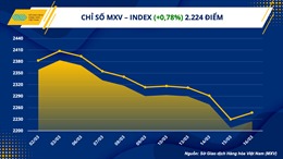 Lực mua trở lại thị trường hàng hoá, chỉ số MXV- Index đảo chiều tăng