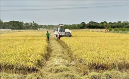 Phát triển kinh tế xanh để nâng sức cạnh tranh cho nông sản