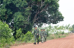 Biên phòng Tây Ninh góp phần giữ vững an ninh nơi biên giới