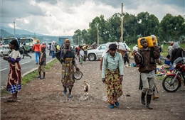 LHQ lo ngại hàng triệu người bên bờ vực thảm họa nhân đạo tại CHDC Congo
