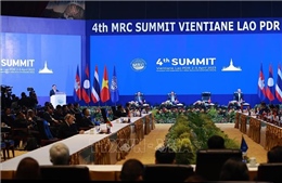 Việt Nam cam kết hợp tác xây dựng lưu vực sông Mekong thịnh vượng, công bằng