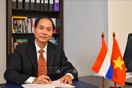 Nâng tầm hơn nữa quan hệ hợp tác đối tác toàn diện Việt Nam – Hà Lan