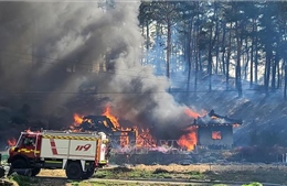 Hàn Quốc: Cháy rừng gây thiệt hại trên diện rộng tại thành phố Gangneung