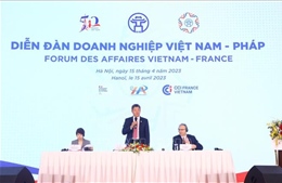 Kết nối, hỗ trợ thông tin hợp tác giữa doanh nghiệp Việt Nam và Pháp