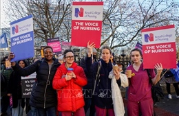 Giới y tá của Anh từ chối đề xuất tăng lương của Chính phủ