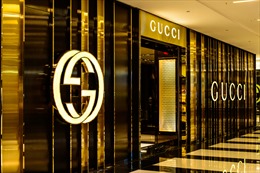 Hãng thời trang Gucci bị điều tra vi phạm luật chống độc quyền của EU