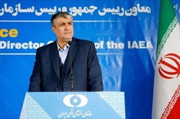 Iran khẳng định đàm phán với IAEA đang tiến triển    