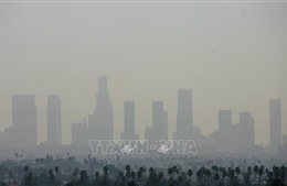 Hơn 1/3 dân số Mỹ sống trong khu vực ô nhiễm không khí