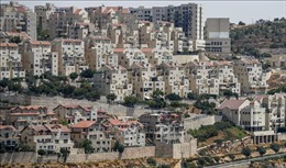 Palestine phản đối việc Israel xây dựng khu định cư mới gần Jerusalem