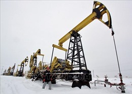 Nga và Saudi Arabia thảo luận về quyết định cắt giảm sản lượng dầu của OPEC+ 