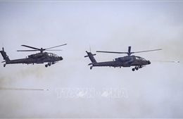 Lục quân Mỹ tạm dừng hoạt động bay sau các vụ tai nạn trực thăng  