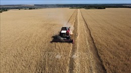 Năm nước EU cho phép nông sản Ukraine quá cảnh
