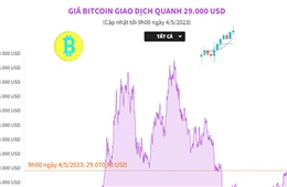 Giá Bitcoin giao dịch quanh 29.000 USD