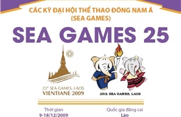 Thông tin về Đại hội thể thao Đông Nam Á lần thứ 25 (SEA Games 25)