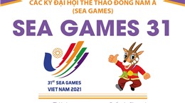 Thông tin về Đại hội thể thao Đông Nam Á lần thứ 31 (SEA Games 31)