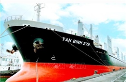 Xuất khẩu 23.000 tấn than cục sang Nam Phi