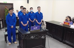 Phạt tù nhóm đối tượng gây án mạng tại Nhật, bỏ trốn về Việt Nam