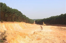 Quảng Trị yêu cầu khắc phục hậu quả việc đào lấy đất rừng trái phép quy mô lớn