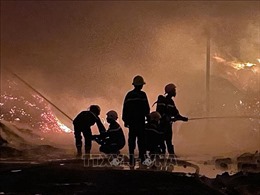 Nỗ lực dập tắt đám cháy tại xưởng sản xuất viên nén mây tre ở Lâm Đồng