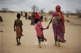 IOM tiếp tục kêu gọi đóng góp 58,5 triệu USD giúp người di cư vùng Sừng châu Phi
