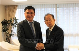 Liên minh Nghị sĩ Hữu nghị Nhật Bản - Việt Nam sẵn sàng hợp tác thúc đẩy quan hệ hai nước