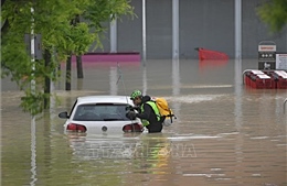 Mưa lớn gây lũ lụt làm 9 người thiệt mạng ở miền Bắc Italy