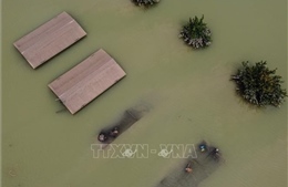 Italy: Vùng Emilia-Romagna bị ngập lụt nghiêm trọng nhất trong 100 năm 