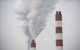 WB: Các quốc gia huy động 95 tỷ USD từ khí thải