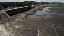 Uruguay đối mặt tình trạng thiếu nước nghiêm trọng nhất trong 74 năm