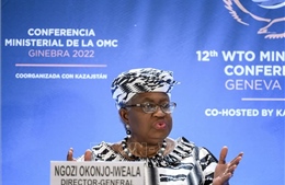 WTO kêu gọi đa dạng hóa chuỗi cung ứng để phục hồi thương mại