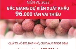 Niên vụ 2023: Bắc Giang dự kiến xuất khẩu 96.000 tấn vải thiều