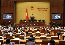 Quốc hội thảo luận Luật Giao dịch điện tử và cơ chế, chính sách đặc thù phát triển TP Hồ Chí Minh