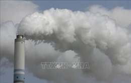 IMF kêu gọi định giá carbon để hỗ trợ chuyển đổi năng lượng