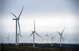 Thế giới hướng tới những mục tiêu tham vọng về năng lượng tái tạo