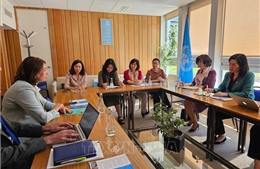 Đoàn công tác Hội Liên hiệp phụ nữ Việt Nam thăm và làm việc tại CH Pháp