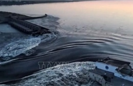 Ukraine cảnh báo tác động tiêu cực đối với môi trường do vụ vỡ đập thủy điện Kakhovka