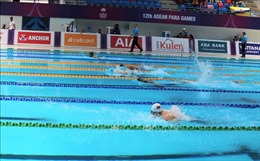 ASEAN Para Games 12: Bơi và Điền kinh giúp đoàn Việt Nam tăng tốc